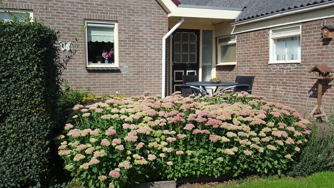 Vakantiehuis De Wilgenhof Wetering Exteriör bild